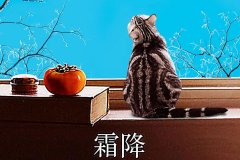 霜降丨縱然霜華盡染，心中美好如初